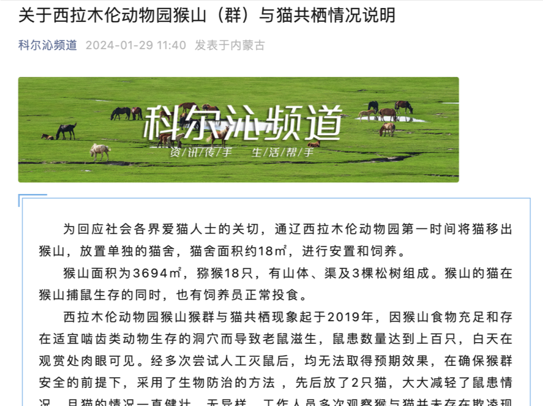 又一动物园猴山有猫！最新通报：已第一时间将猫移出猴山