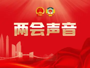 加强整合协同，汇聚侨力助力“五外联动”