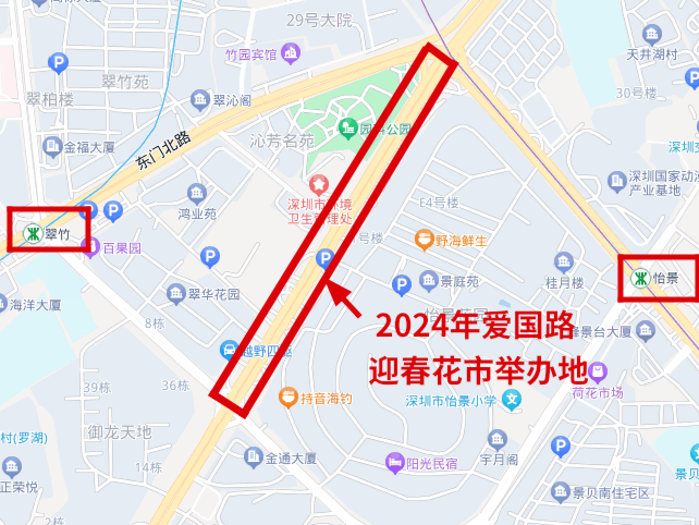 迎新春逛花市 交警呼吁优选绿色出行