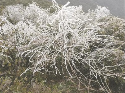 东莞第一峰的冰
