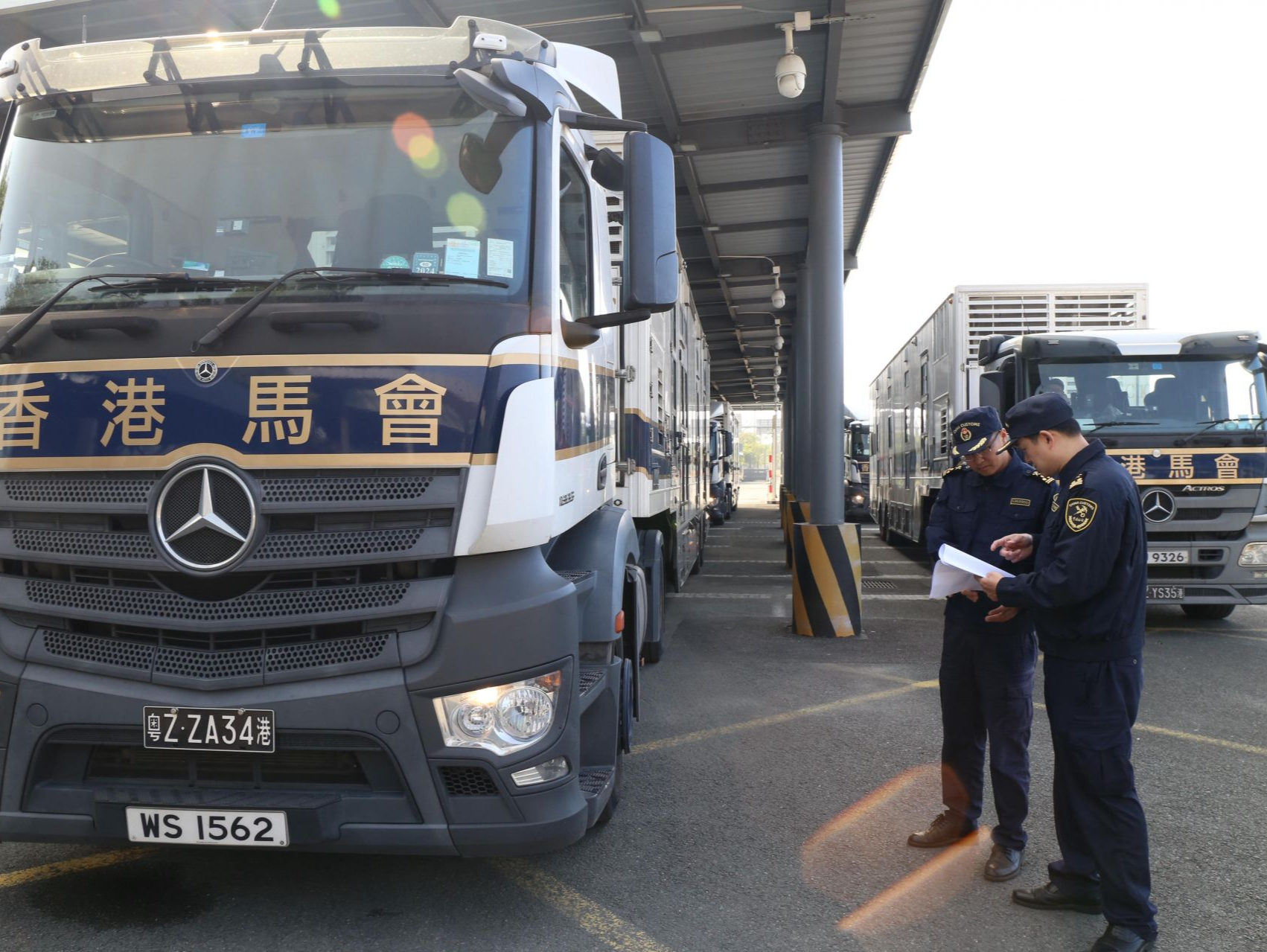 赛马往返粤港“自由行”，从化海关和深圳湾海关共同首创国内进境大动物“无感查验”