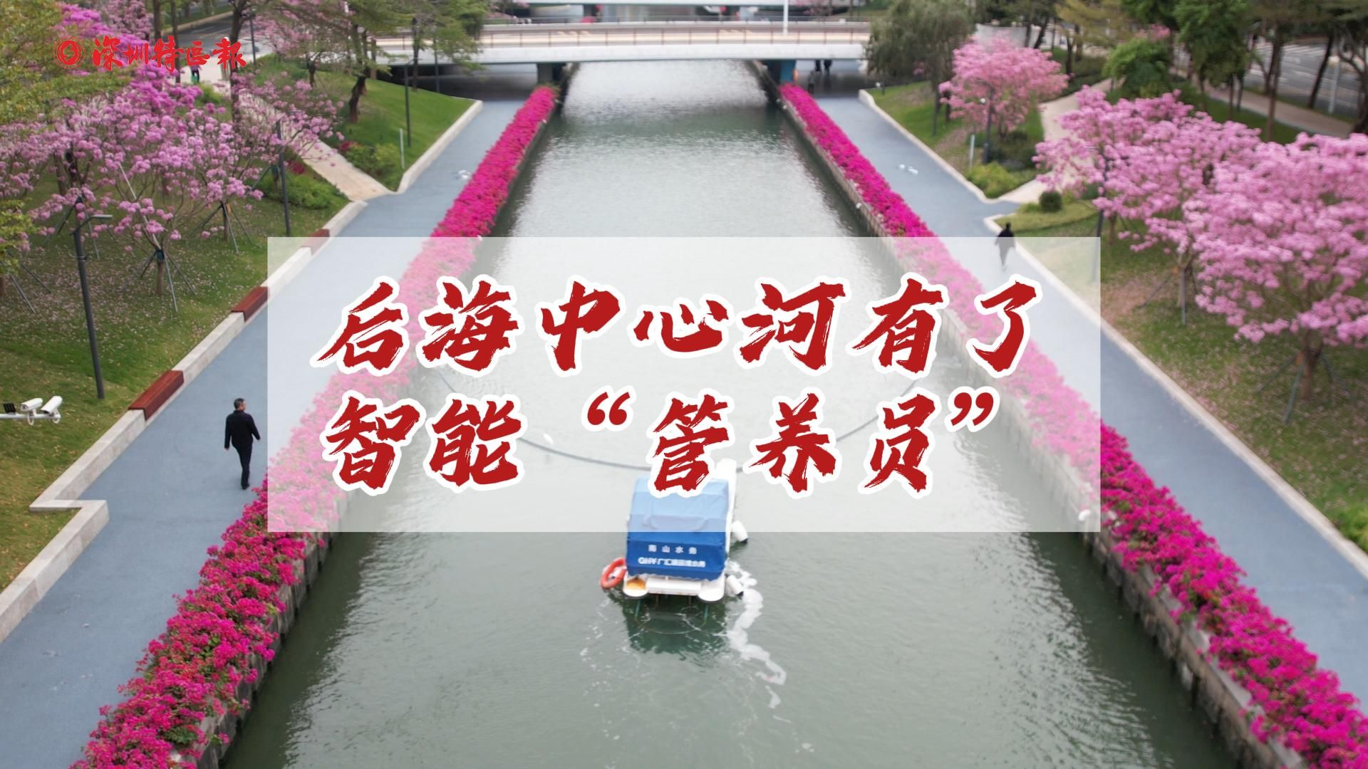 后海中心河有了智能“管养员”