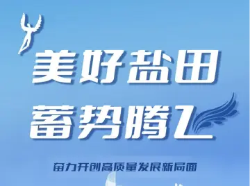 2024年盐田“两会”｜陈霄翔：抢占先机，建设低空经济创新发展先行区