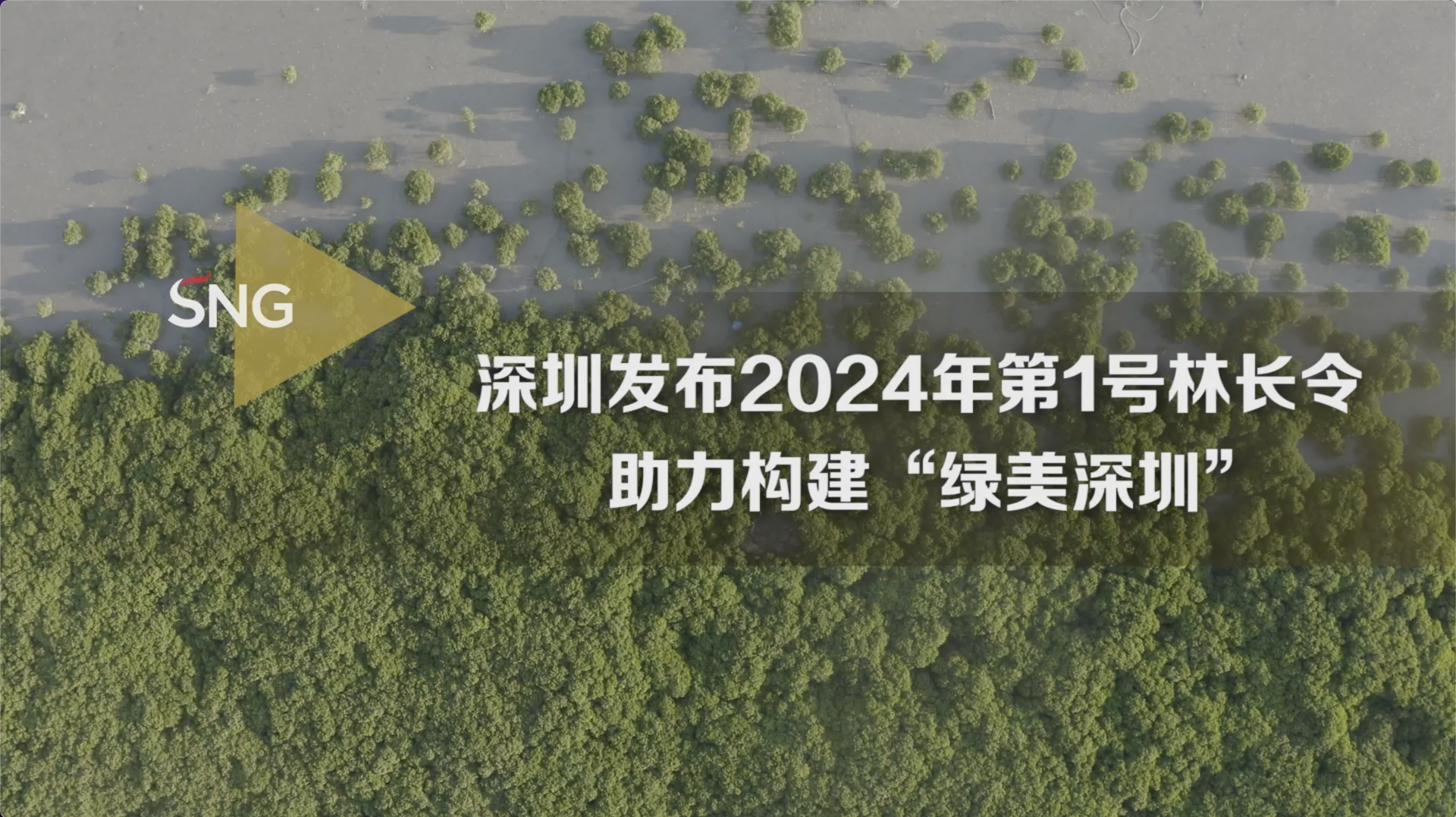深圳积极推动山海连城生态建设