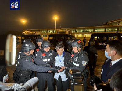 白所成等10名缅北重大犯罪嫌疑人被成功押解回国