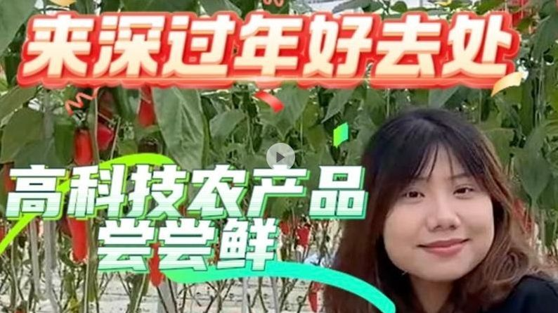 晶视频｜好吃又好玩！来深过年好去处，高科技农产品尝尝鲜