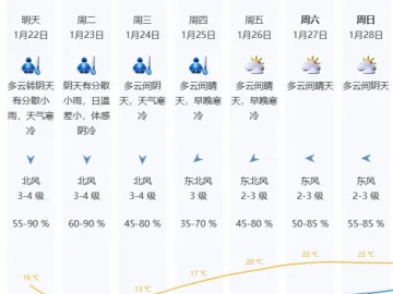 最低气温5-6℃！深圳寒冷黄色预警信号生效中