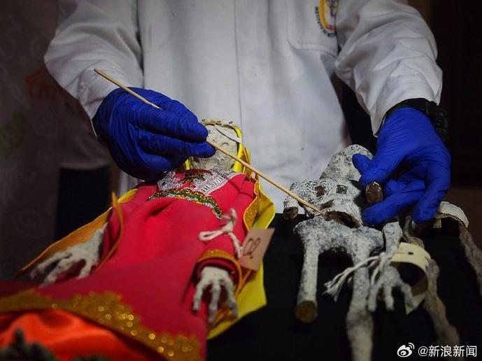 “外星人”遗体是真的吗？鉴定结果来了