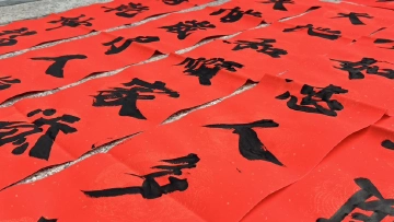 梅林街道梅丰社区：爱在梅丰送春联，社区共融迎新春