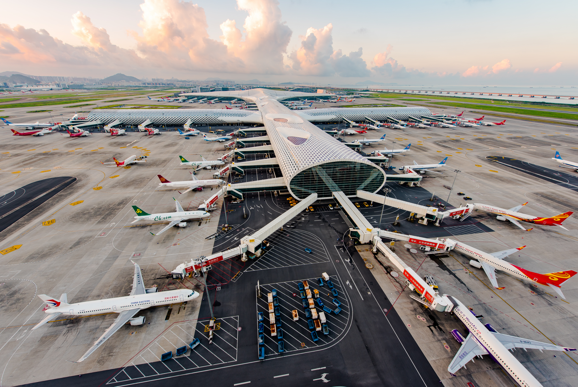 深圳机场客货运多项指标创新高，航空“引擎”驱动区域高质量发展