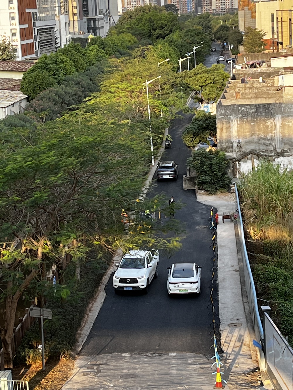 旧路换“新肤”！东周社区东周公园路（西区段）路面提升