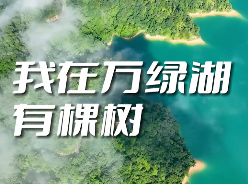 《我在万绿湖有棵树》主题曲正式上线  用声音歌唱展示推介绿美河源