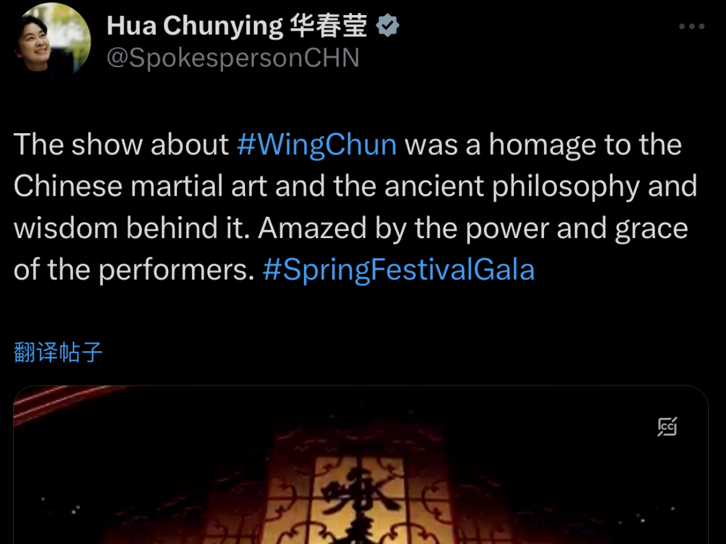 华姐转发春晚《咏春》 海外网友怎么看？