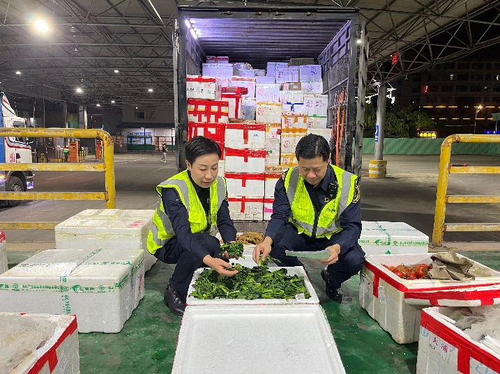 莞港一家亲！春节期间4000吨新鲜蔬菜安全供港