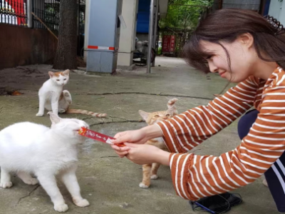 一年救下千余只猫咪，韩佳丽的“救猫战神”之路 | 读特专访