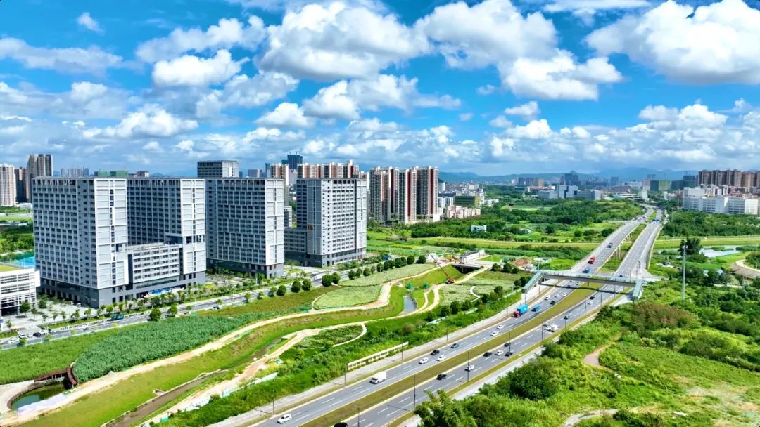 近两百项目标任务！坪山变“规划图”为“施工图” 推进高质量发展