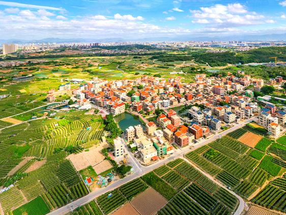 2024年中央一号文件公布 提出推进乡村全面振兴“路线图”