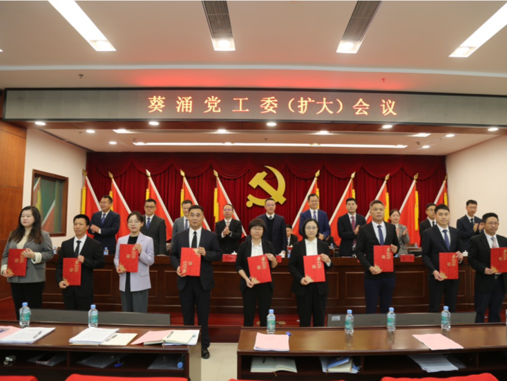 大鹏葵涌:重点做好十方面工作,建设新区高质量中心城区
