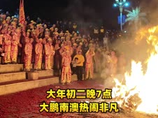 晶视频｜龙年看“龙”，大鹏南澳草龙起舞过大年 
