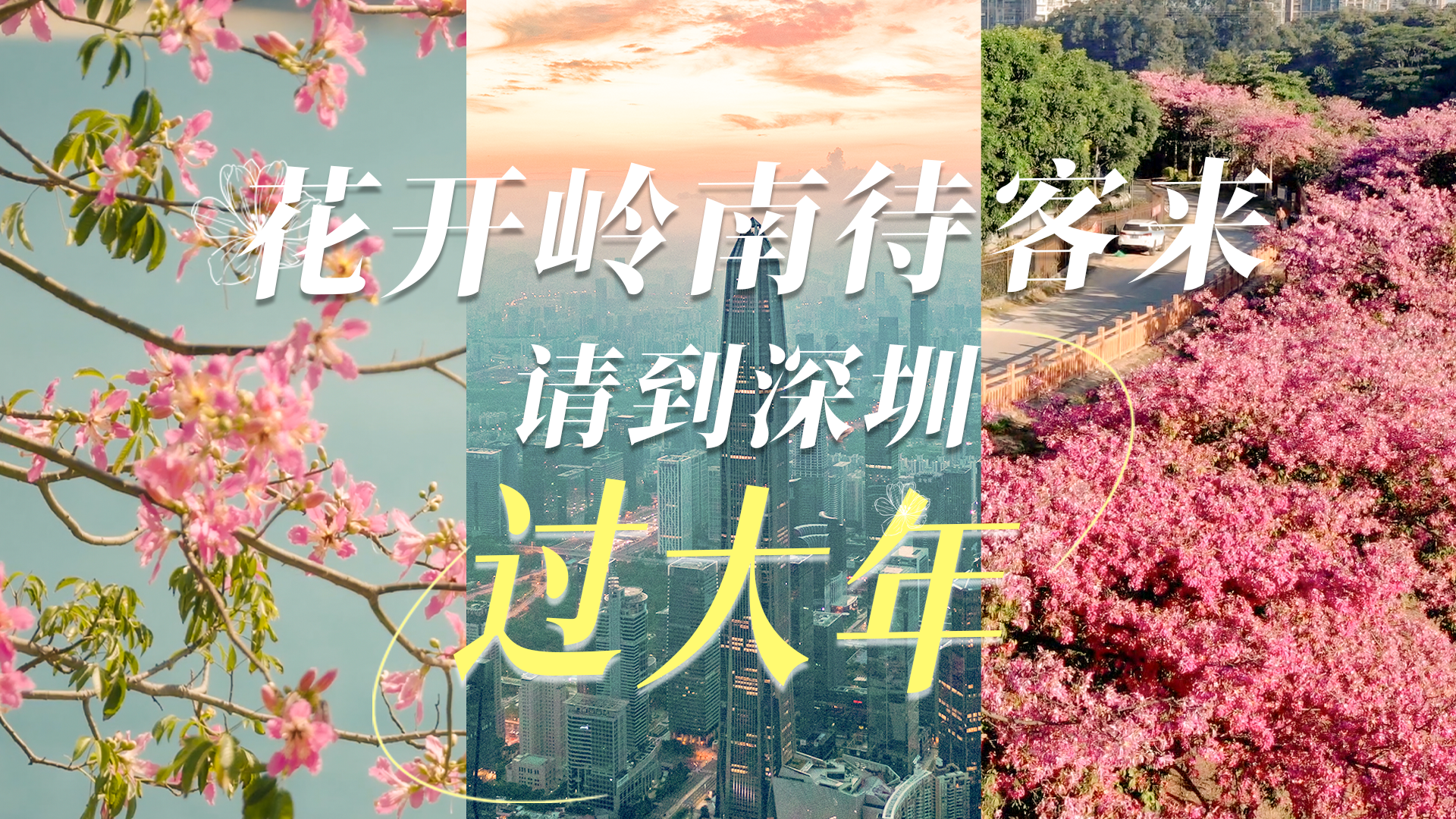 岭南花开待客来 请到深圳过大年