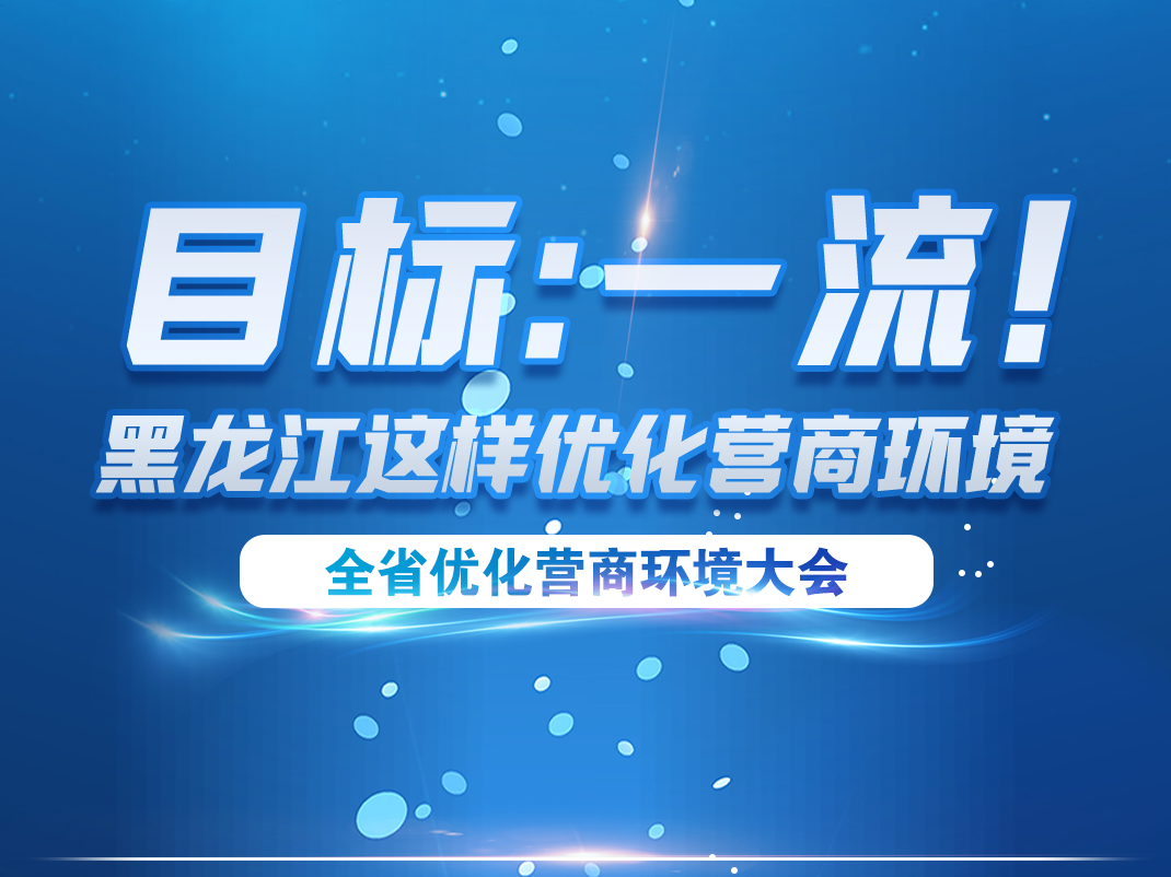 目标：一流！黑龙江这样优化营商环境