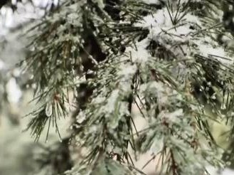 中央气象台：3月初之前南方大部将维持阴雨雪天气