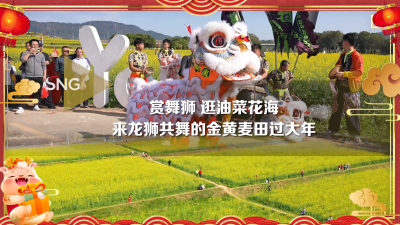 春节在深圳看醒狮逛油菜花海