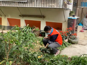 翠竹街道开展禁种铲毒社区宣传与踏查活动