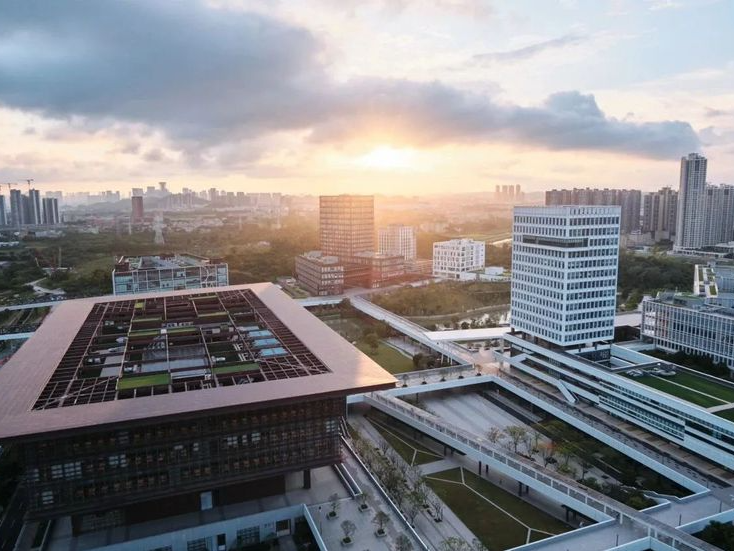 不用考研，学校资助！深技大推出创新性研究生培养计划