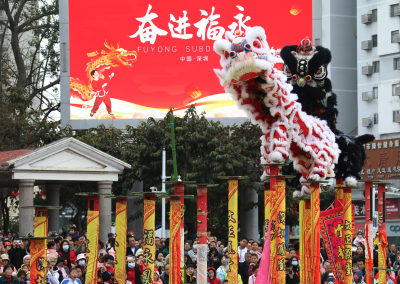 福永街道举办第31届元宵龙狮会，敲响新春奋斗的锣鼓声