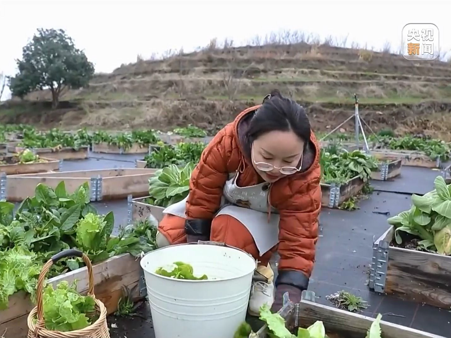 焦点访谈丨牢记总书记嘱托 人财两旺心气顺