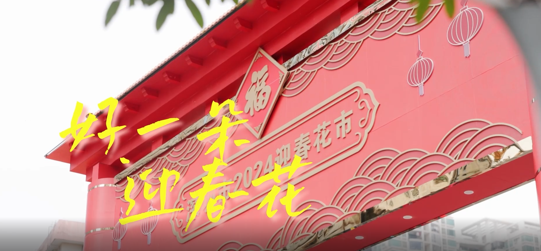 深圳哪里的年味浓？别错过这个“金牌花市”