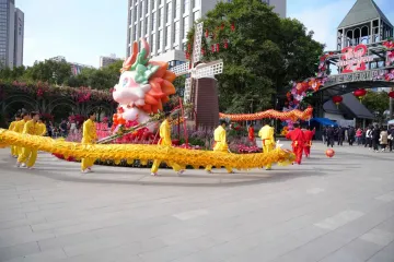  南山新春花市开启深港文化交流新篇章