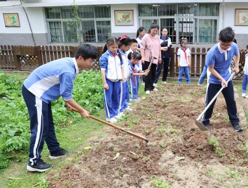 播种梦想、写满祝福、学会感恩……深圳中小学喜迎开学日