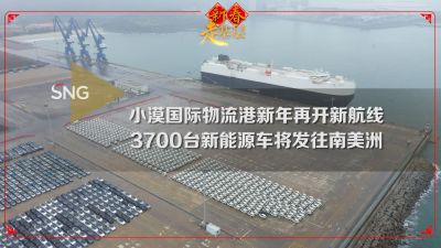 深圳新春走基层丨小漠港3700台新能源车春节整装出海