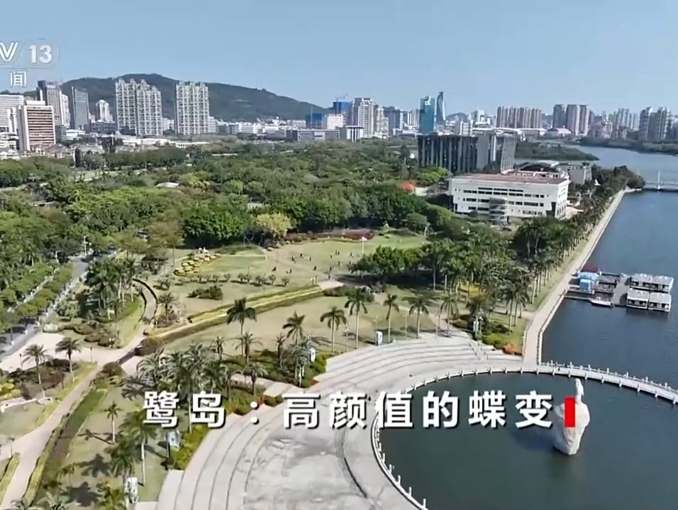 焦点访谈丨从“20字方针”出发 “厦门实践”让城市高颜值蝶变