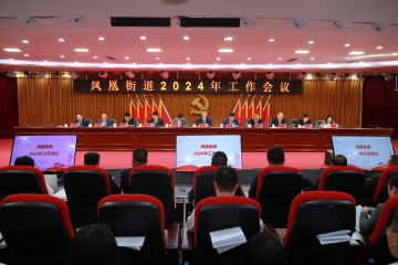 凤凰街道：以“七有”建设“科汇新城 大美凤凰”