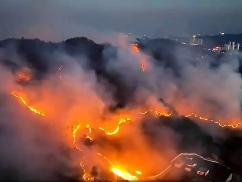两部门会商森林火险形势：贵州广西严防火灾复燃 