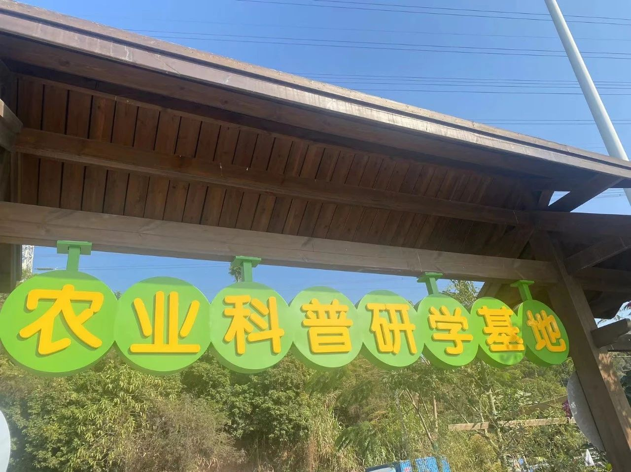 助力农业科普事业发展！龙岗百合花溪谷农业科普研学基地开营