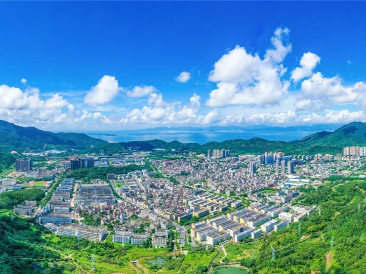 成立并联审批服务专班！大鹏新区项目建设启动加速模式