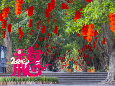 2024深圳公园文化季启动，系列新春活动来袭