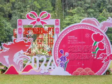 仙湖植物园4万株球根花卉竞相绽放迎新春，正是最佳赏花期