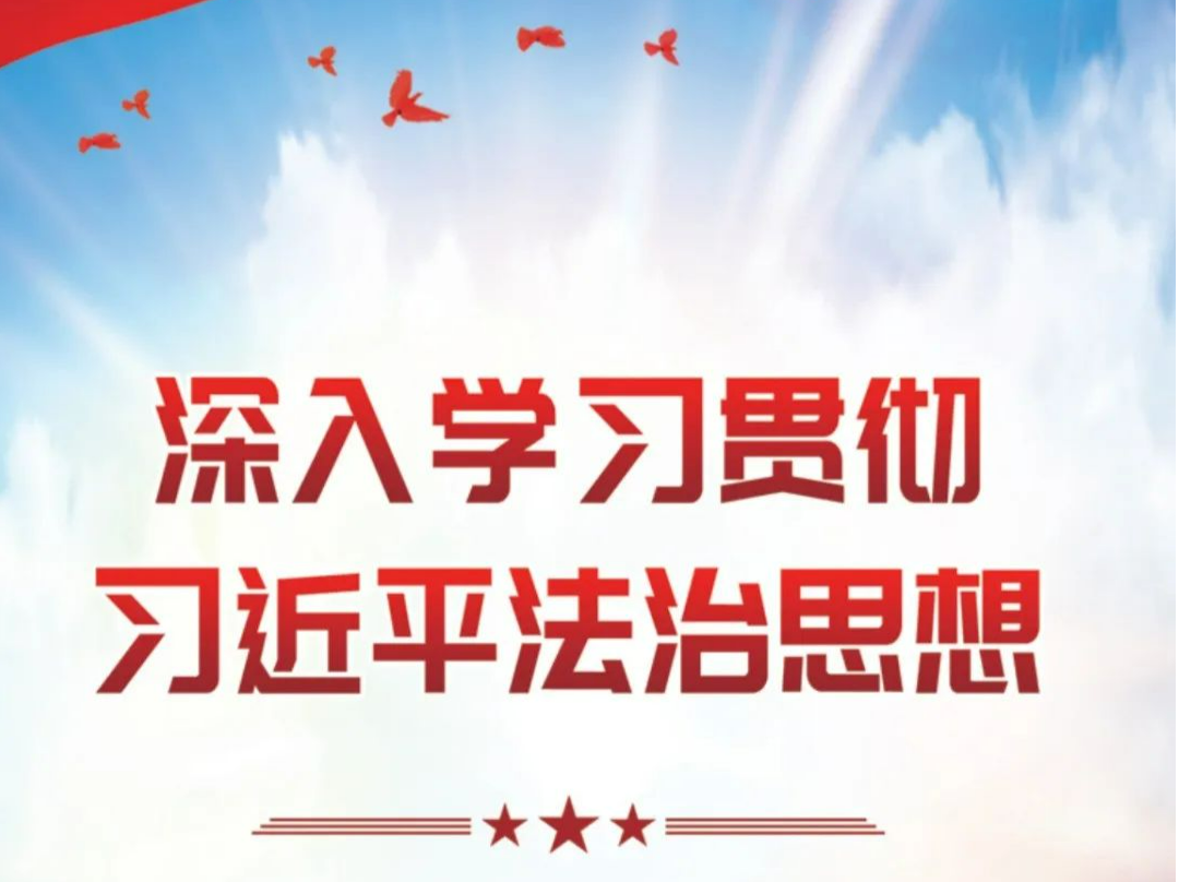 一图读懂习近平法治思想