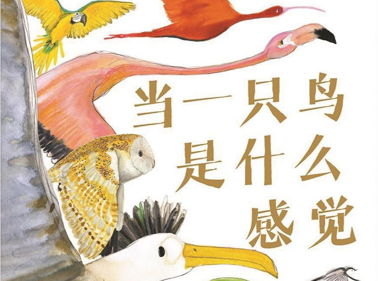 由鸟及其他生物 读出生命的多样 | 人文天地·新阅读