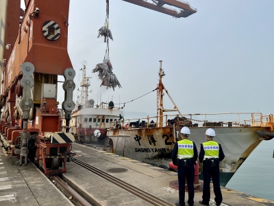 （重稿）150吨！大铲湾码头迎来深圳今年首批远洋金枪鱼