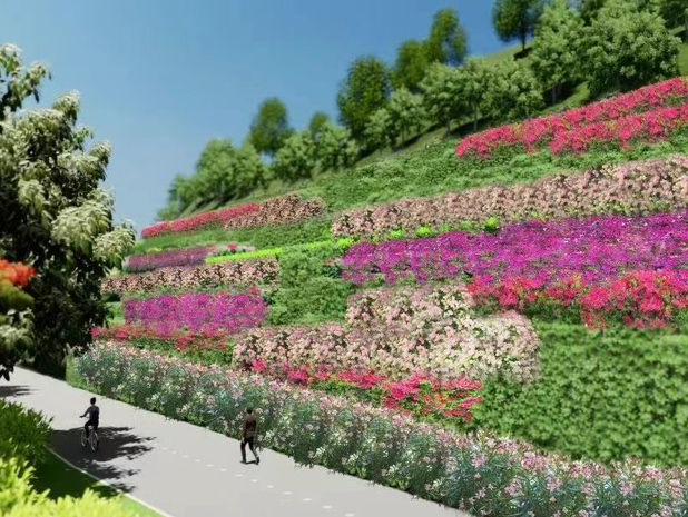 “深圳最美公路”的最后一段——大鹏油草棚通道即将动工