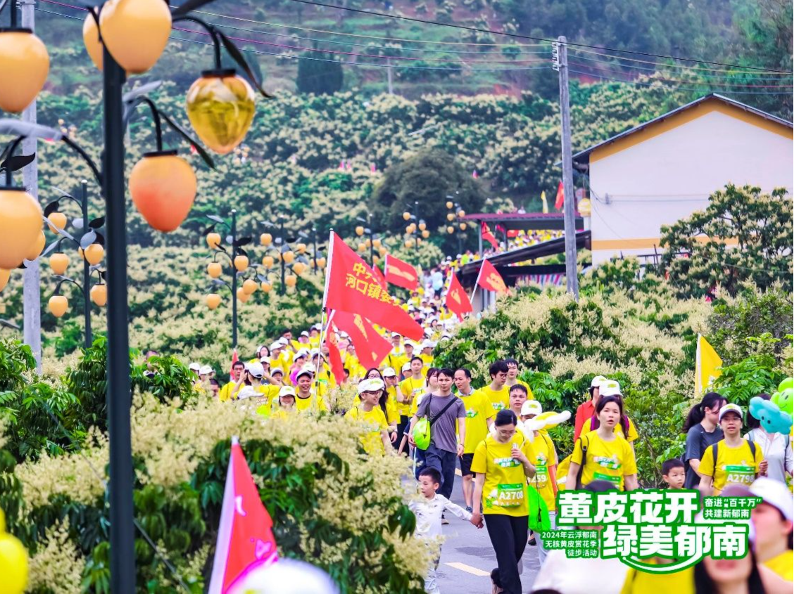 穿越花海拥抱春天！云浮郁南无核黄皮赏花季徒步活动举行