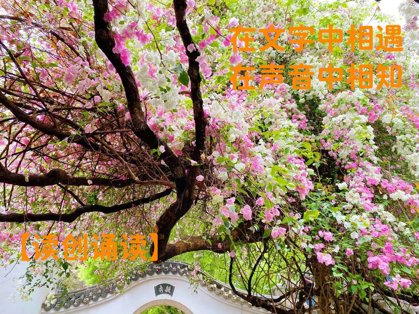 读创诵读(组诗）||一二三月,打开深圳的春天(作者:李国坚)