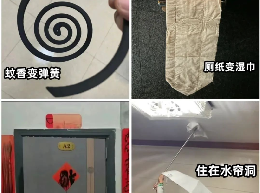 温度记｜回暖回南一起来！“广东特产”已派发！忍两天冷空气就来救场......