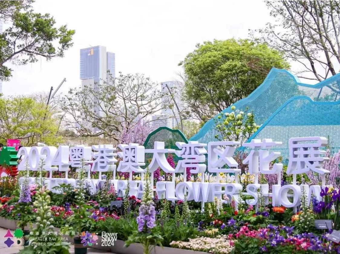 大湾区花展别样风景，华富“志愿红”传递“湾区”温度